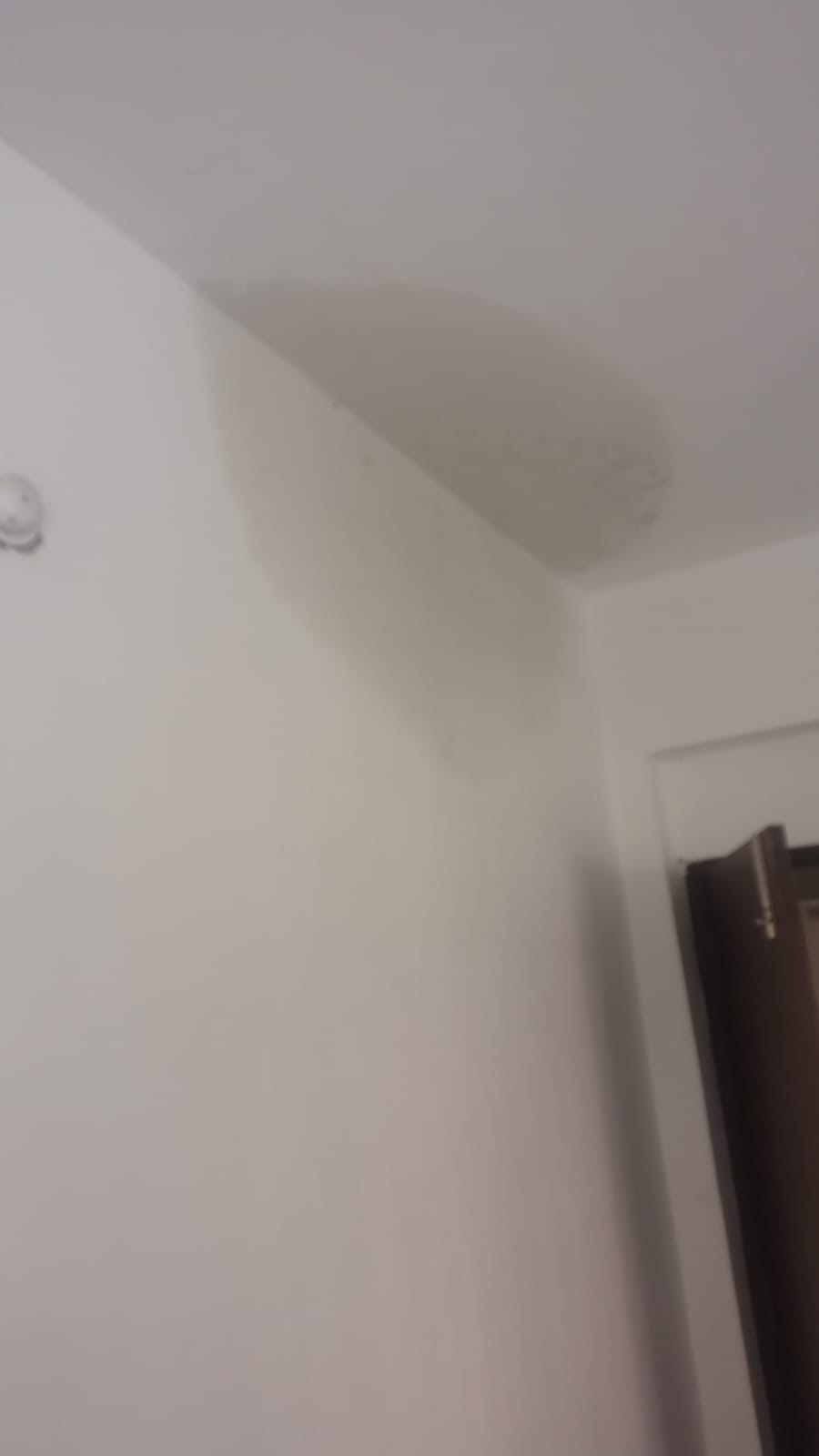Old Wall Finish